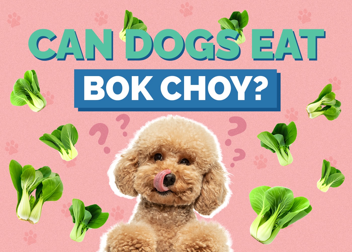 Can Dogs Eat Bok Choy? Vet-Verified Nutrition Facts & Benefits