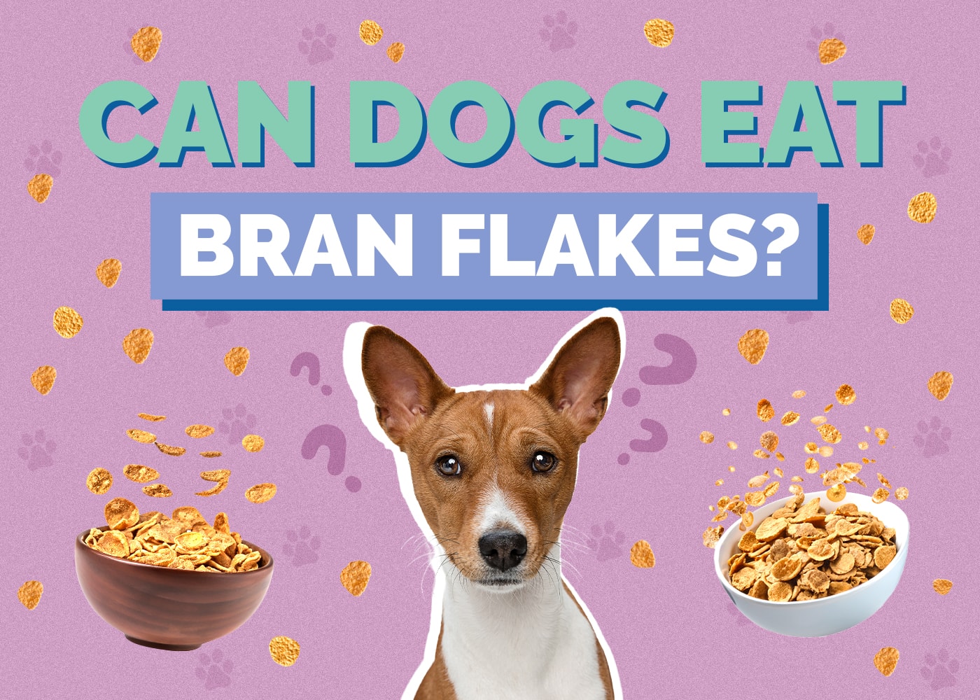 Can Dogs Eat Bran Flakes