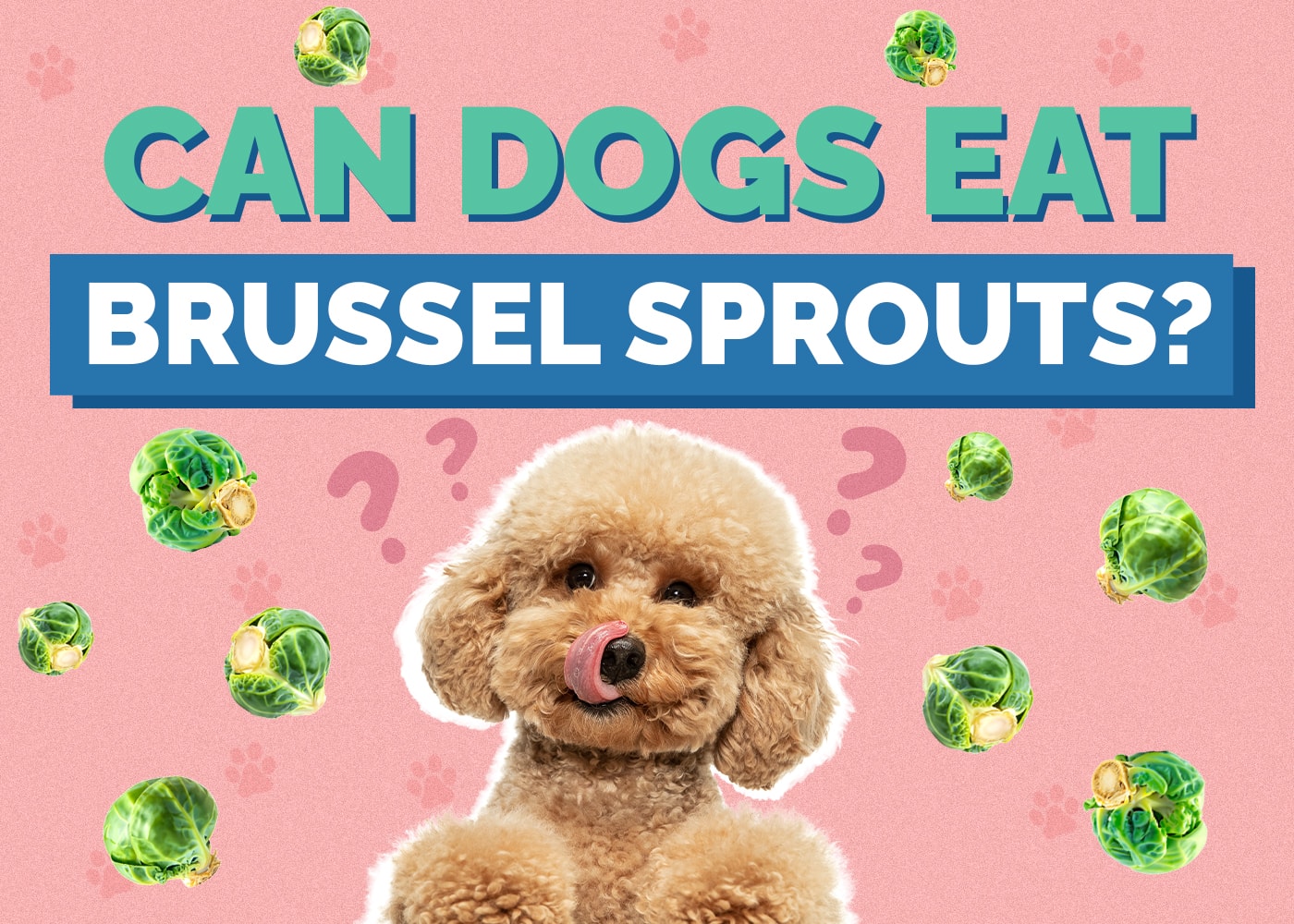 Can Dogs Eat Brussels Sprouts? Vet-Reviewed Nutrition Facts & Risks