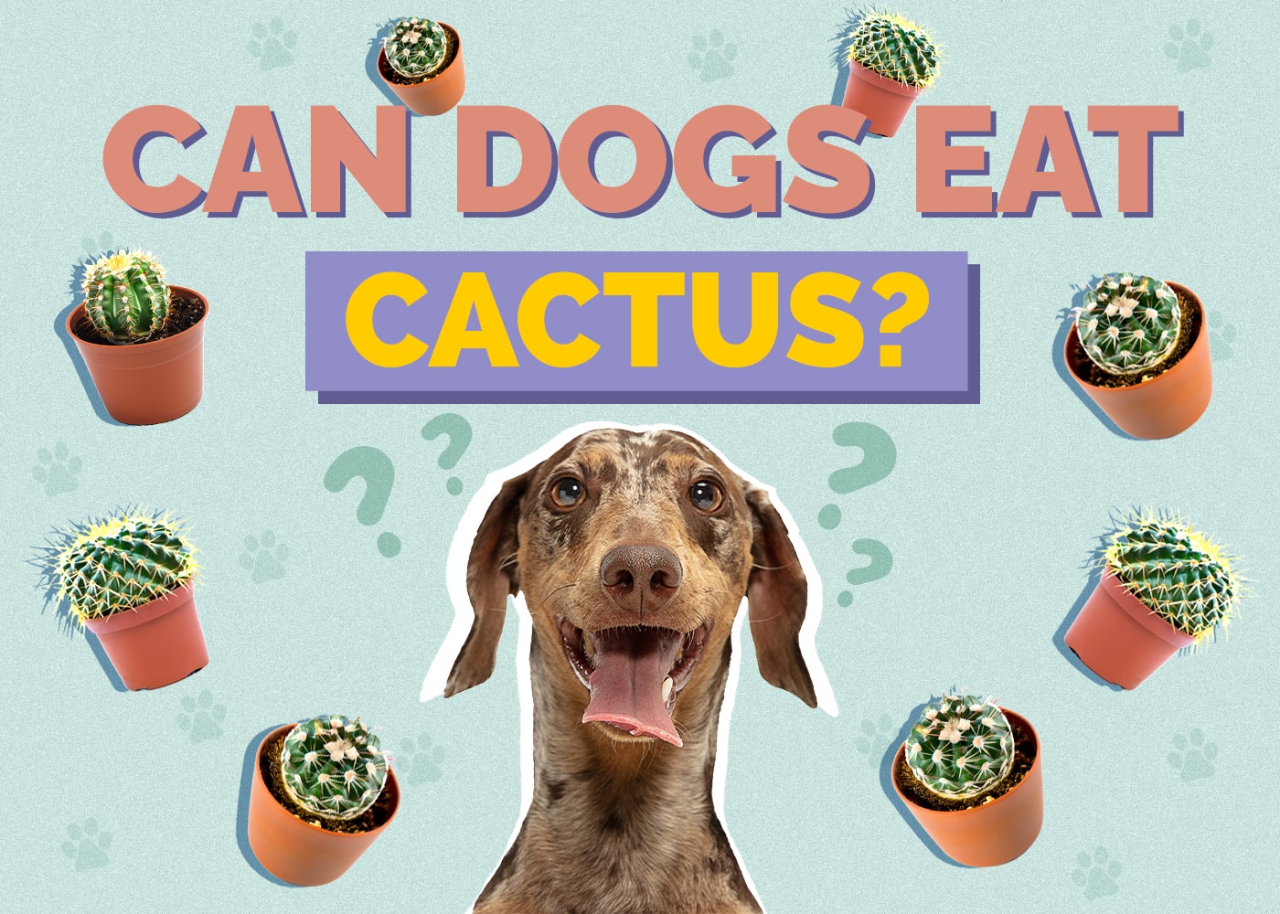 Can Dogs Eat Cactus? What The Science Says!