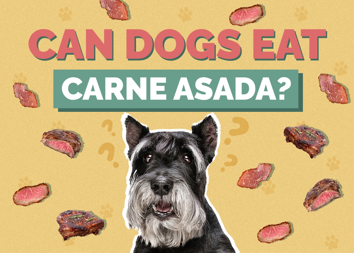 Can Dogs Eat Carne Asada? Vet Reviewed Facts & FAQs