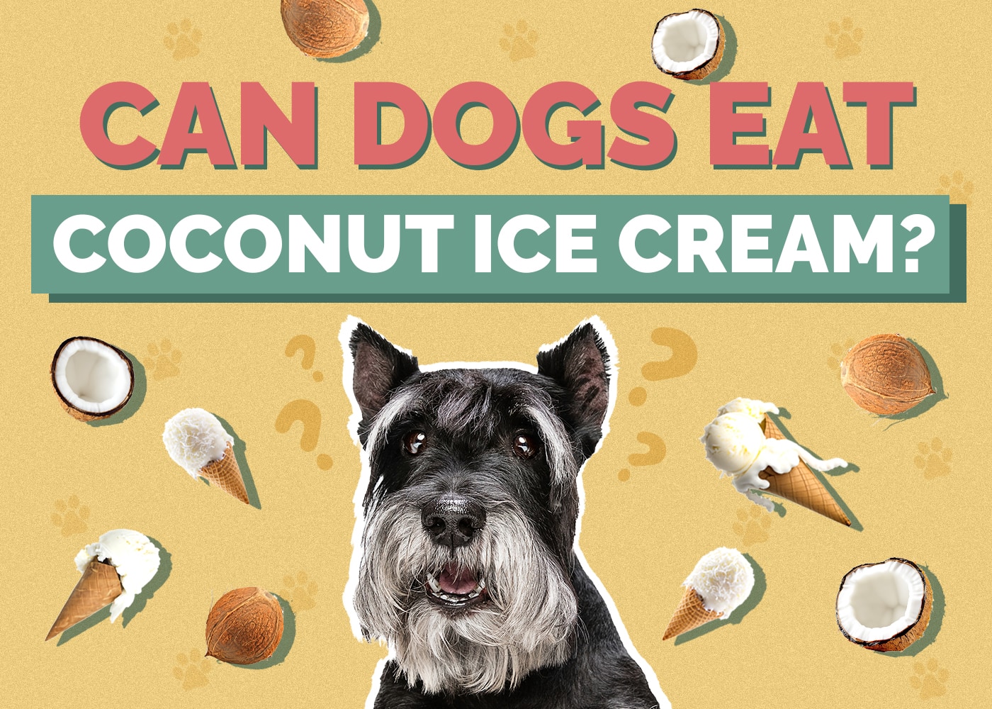 Can Dogs Eat Coconut Ice Cream? Vet Approved Facts & Risks