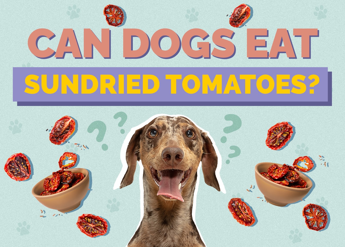 Can Dogs Eat Sundried Tomatoes? Vet Approved Health Concerns