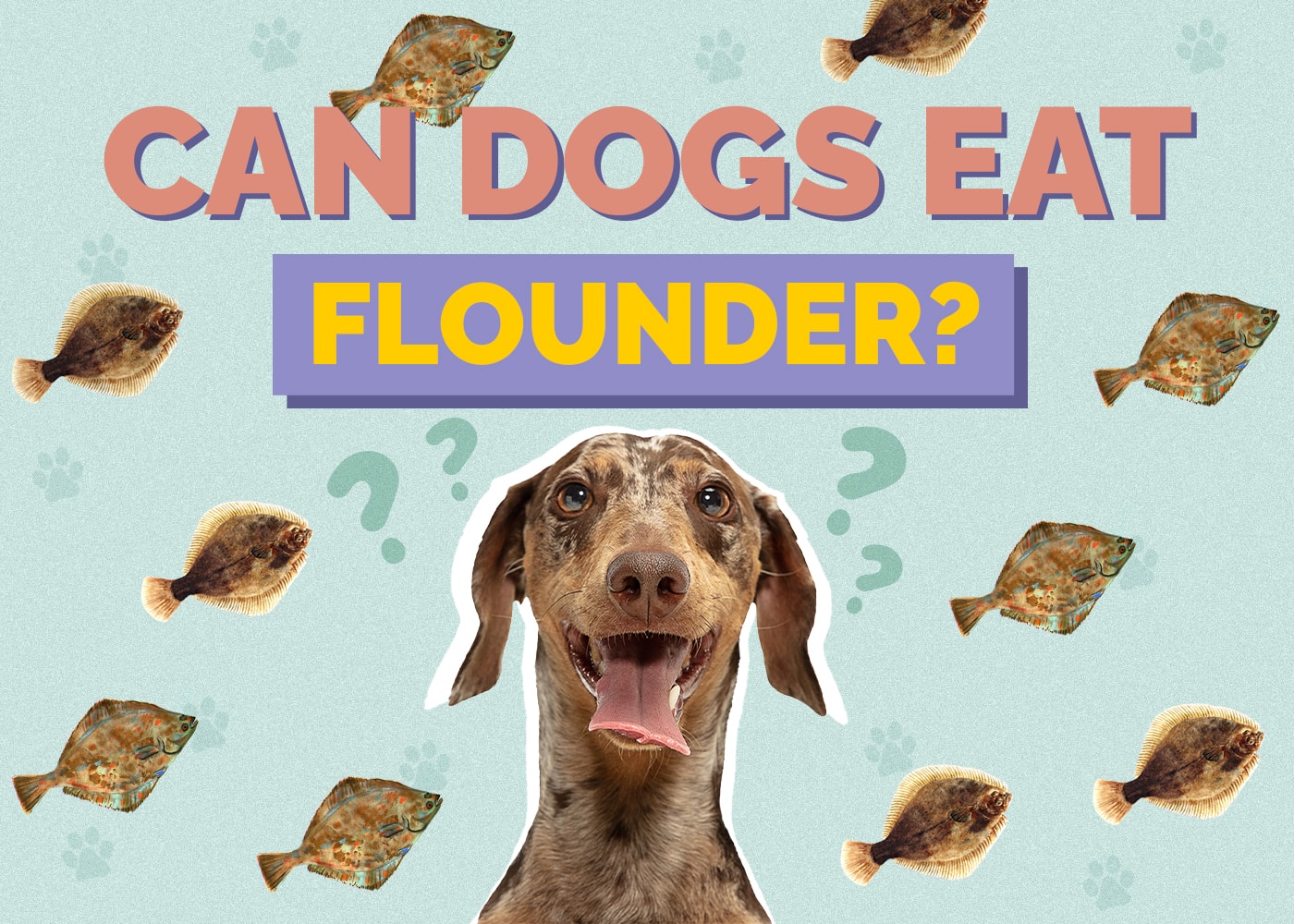 Can Dogs Eat Flounder? Vet Reviewed Facts & FAQ