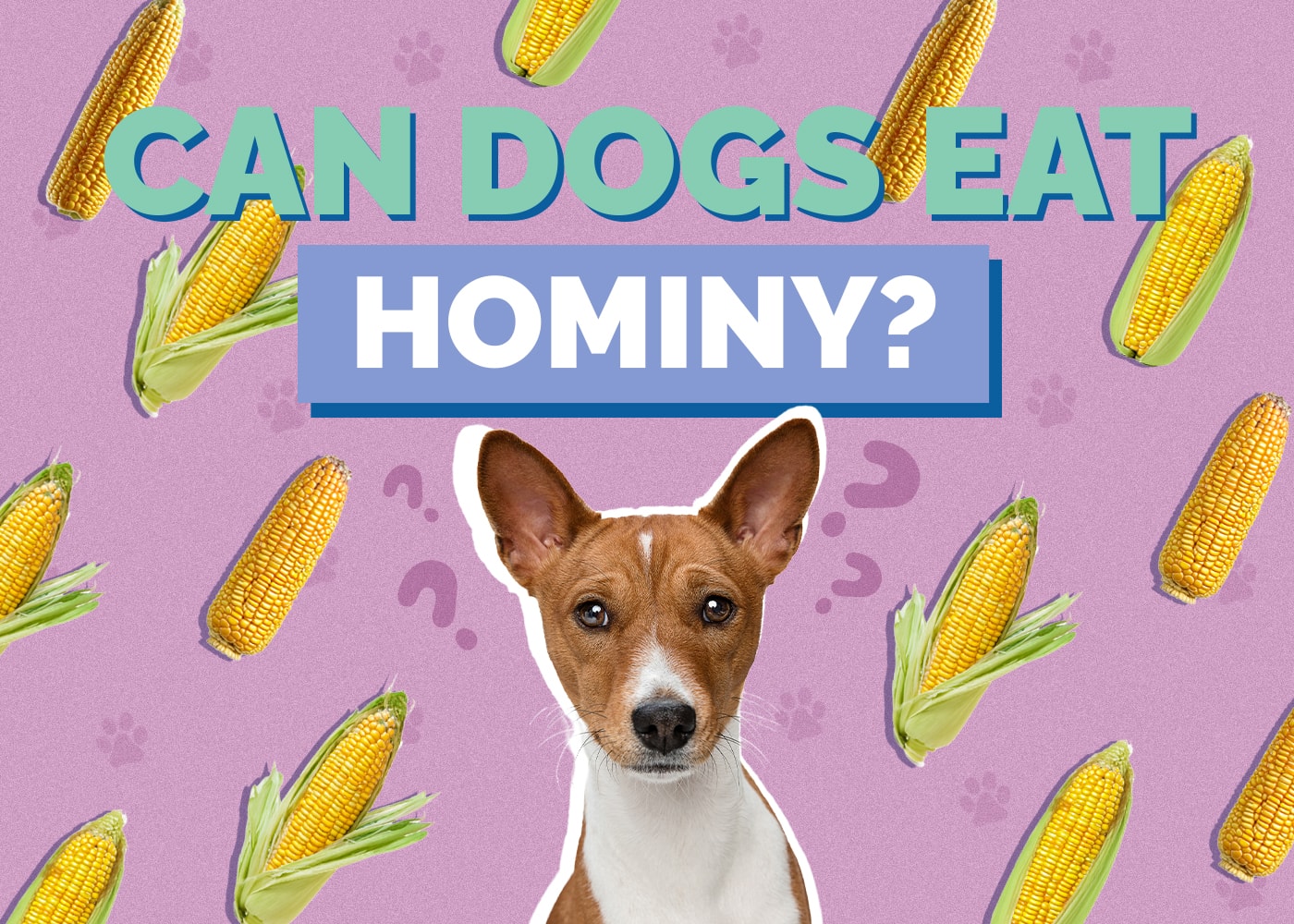Can Dogs Eat Hominy? Vet-Approved Facts & FAQ