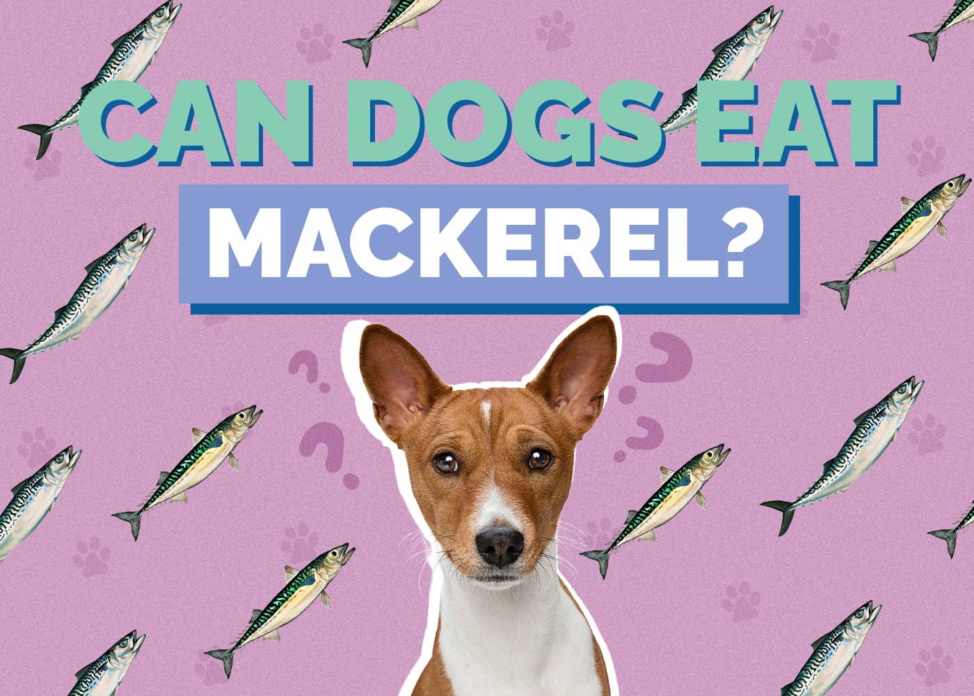 Can Dogs Eat Mackerel? How Healthy Are They?