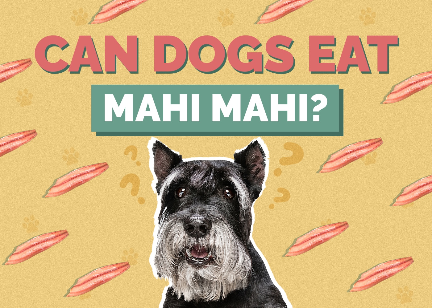 Can Dogs Eat Mahi Mahi? Vet Approved Nutrition Facts and Info