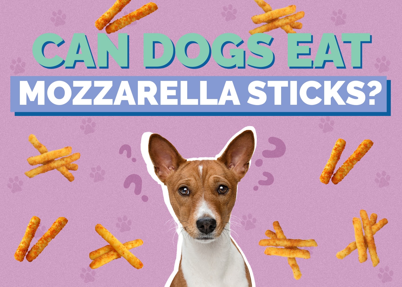 Can Dogs Eat Mozzarella Sticks? Vet Reviewed Health & Nutrition Facts