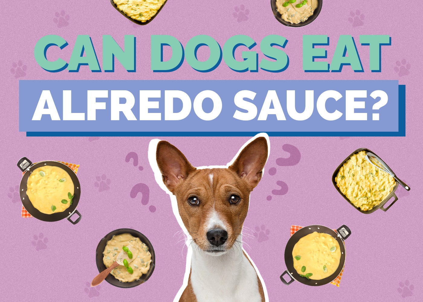 Can Dogs Eat Alfredo Sauce? Vet-Approved Facts