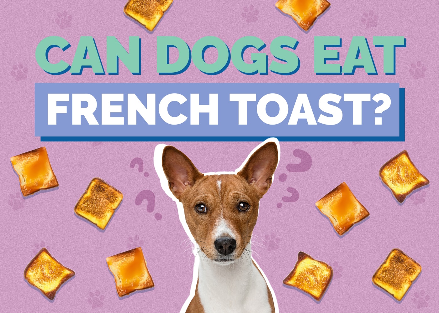 Can Dogs Eat French Toast? Vet Reviewed Facts & FAQ