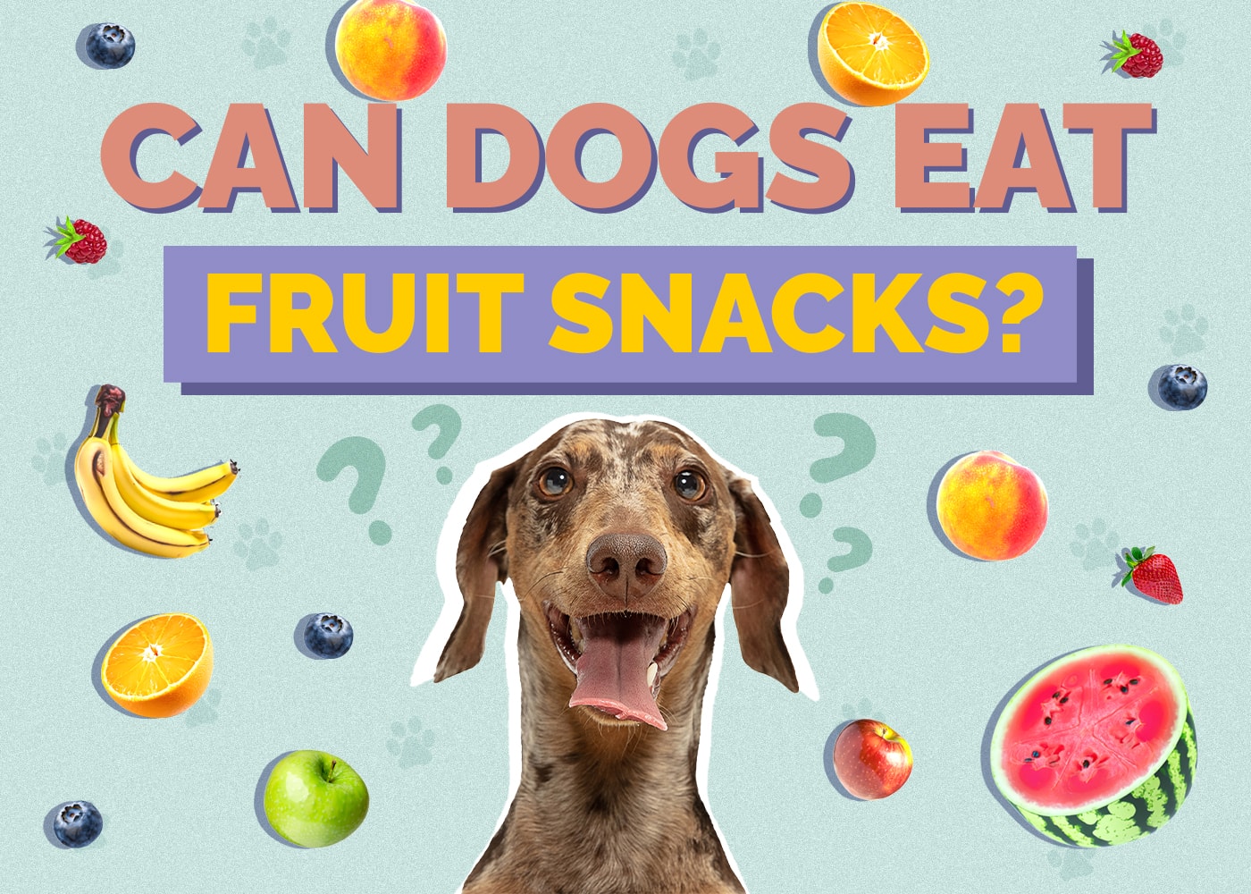Can Dogs Eat Fruit Snacks? Vet Reviewed Facts You Need to Know!