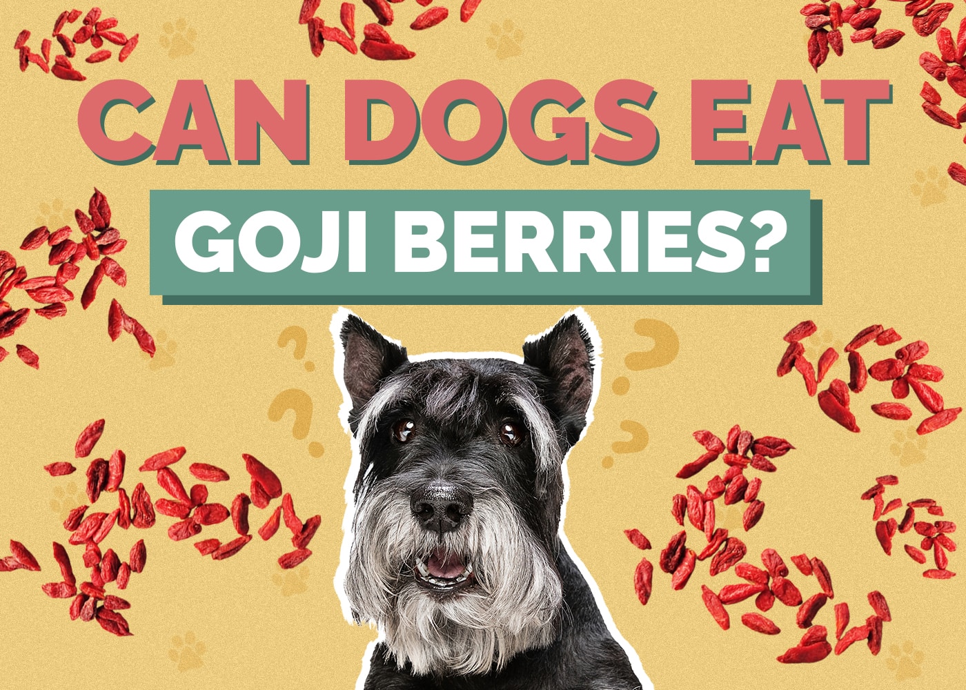 Can Dogs Eat Goji Berries? Vet Reviewed Nutrition Facts