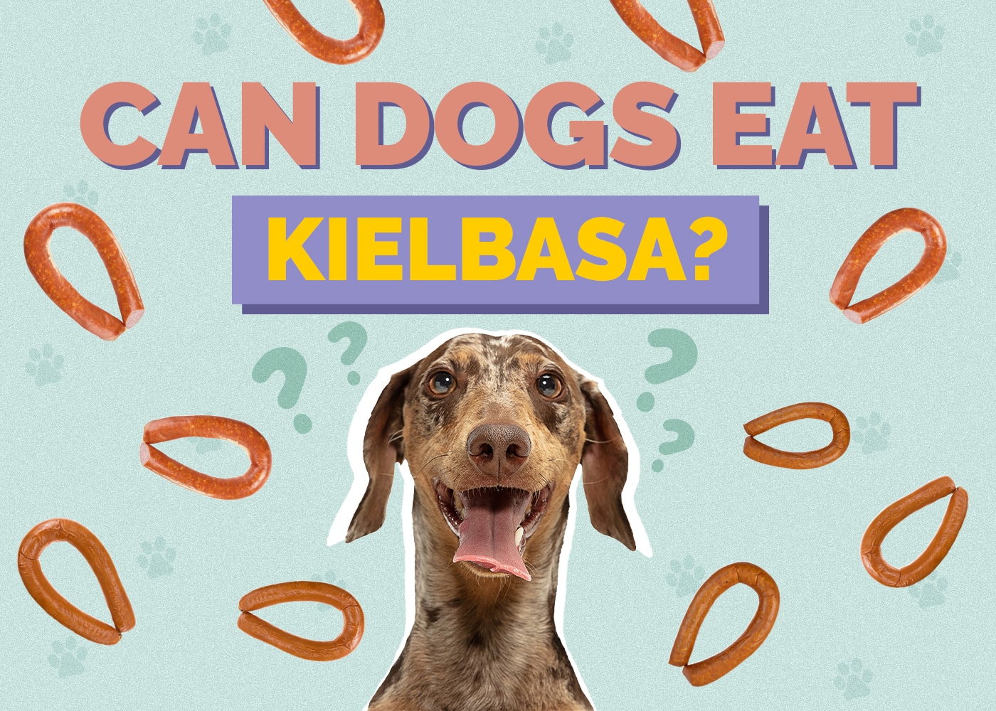 Can Dogs Eat Kielbasa? Vet Reviewed Facts & FAQs