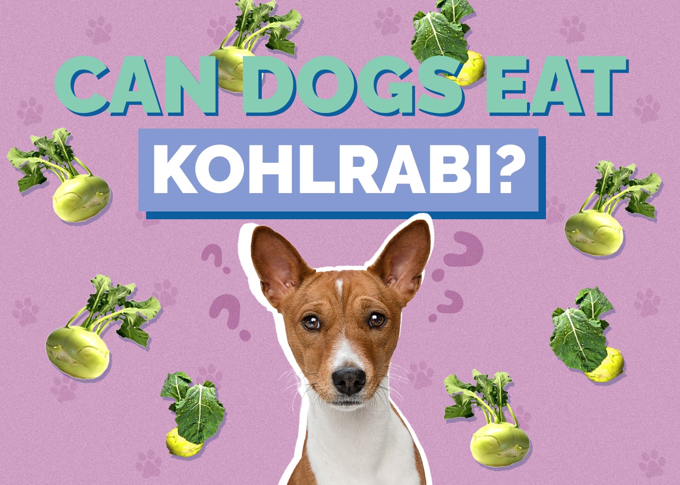 Can Dogs Eat Kohlrabi? Vet Approved Facts & FAQ