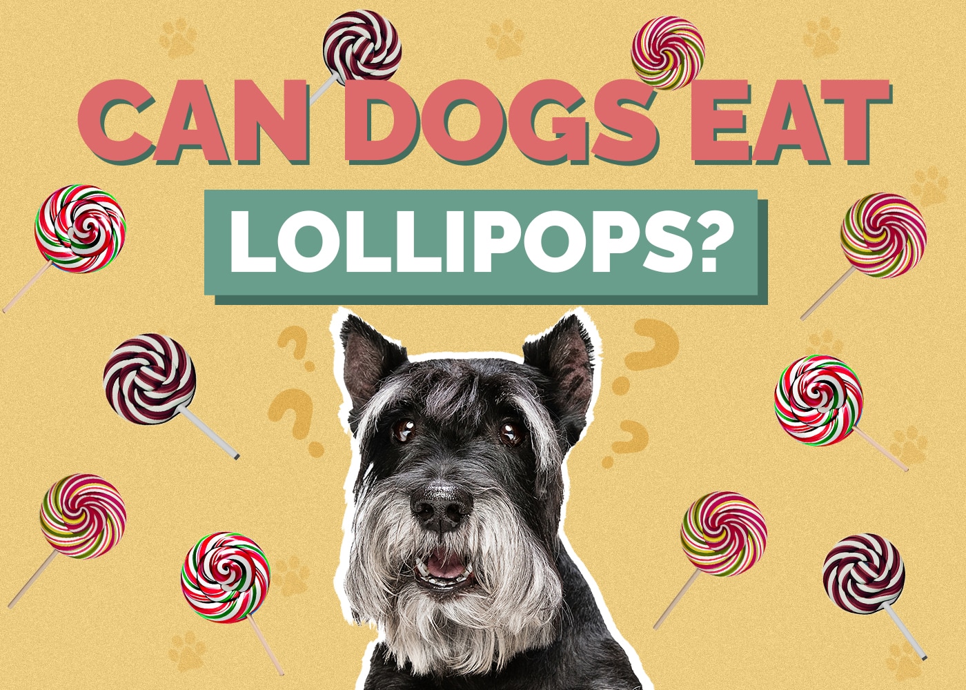 Can Dogs Eat Lollipops? Vet Reviewed Nutrition & Info