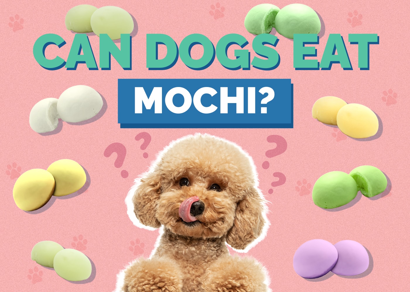 Can Dogs Eat Mochi? Ingredients & Nutrition Explained