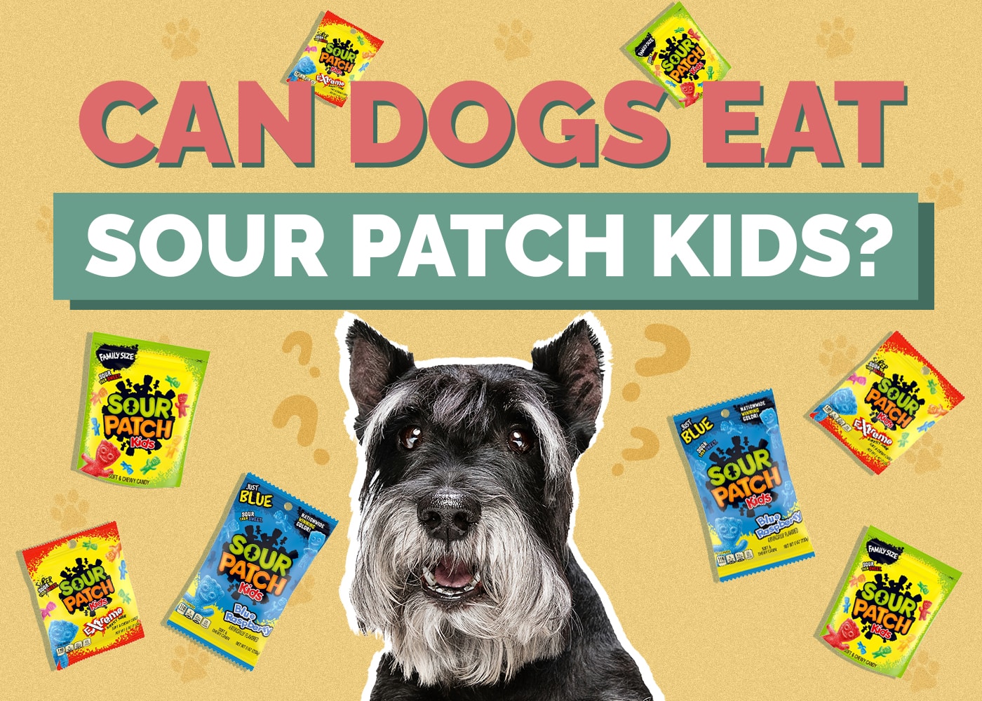 Can Dogs Eat Sour Patch Kids? Vet-Verified Nutrition Facts & Risks