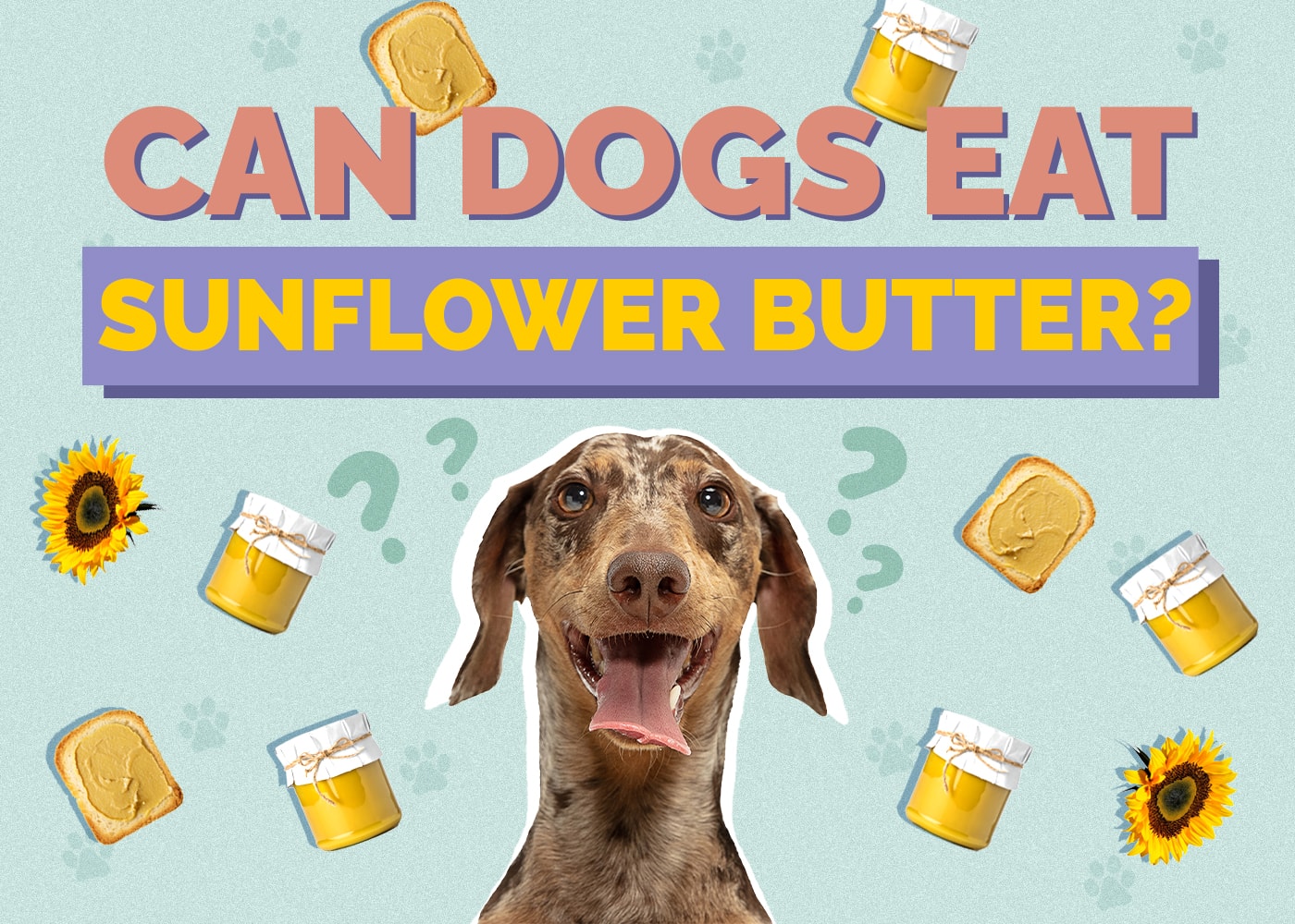 Can Dogs Eat Sunflower Butter? Vet-Approved Health Review