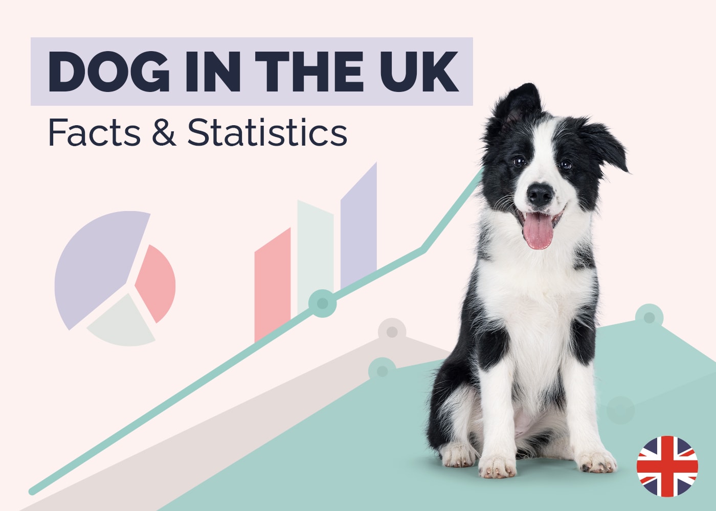 17 UK Dog Statistics & Facts to Know: 2026 Update