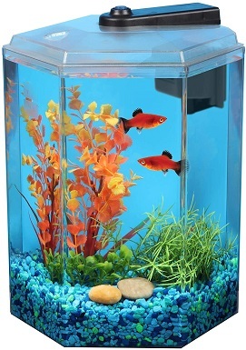 Imagitarium 1.7 Gallon Hexagonal Aquarium