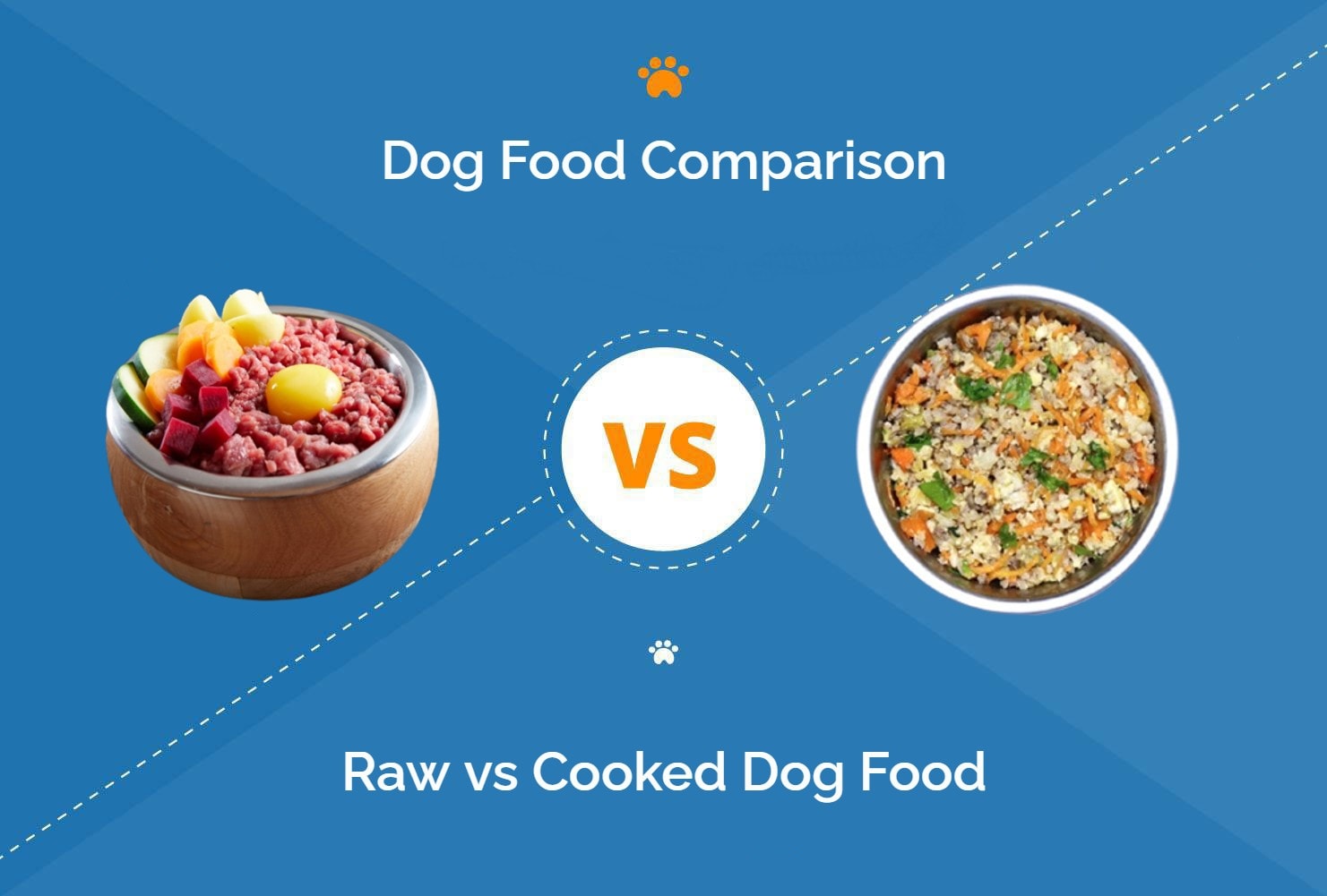 Raw vs. Cooked Dog Food: Vet-Reviewed Main Differences, Pros & Cons