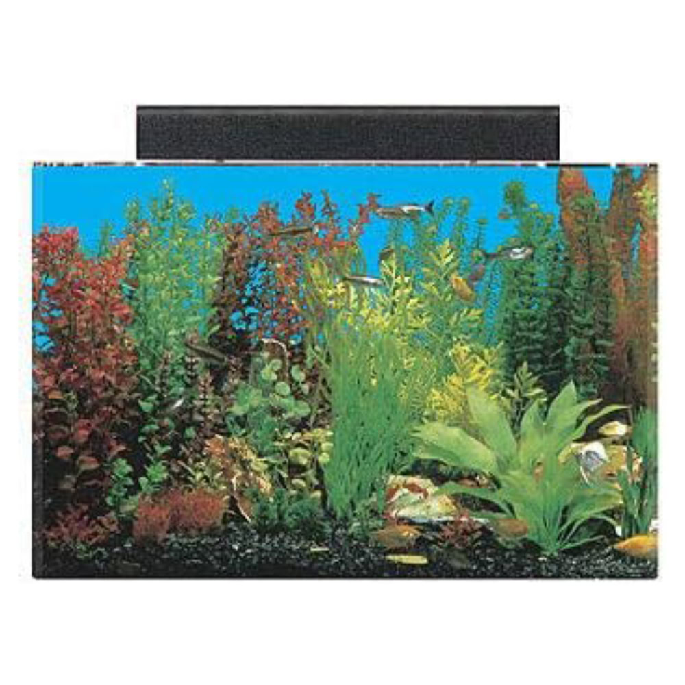 SeaClear 20 gal Acrylic Aquarium Combo Set