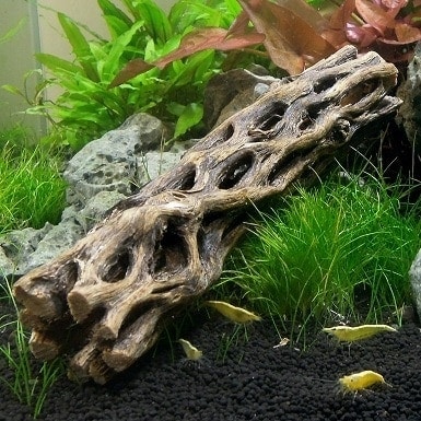 8 Best Driftwood for Aquariums in 2026 - Reviews & Top Picks