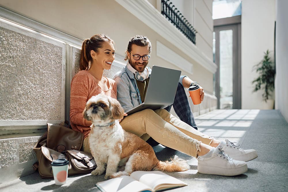 17 Colleges That Allow Dogs or Cats: 2026 Update
