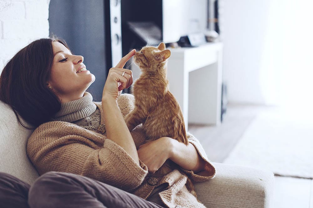 How Much Does It Cost to Own a Cat in Australia? 2026 Price Guide