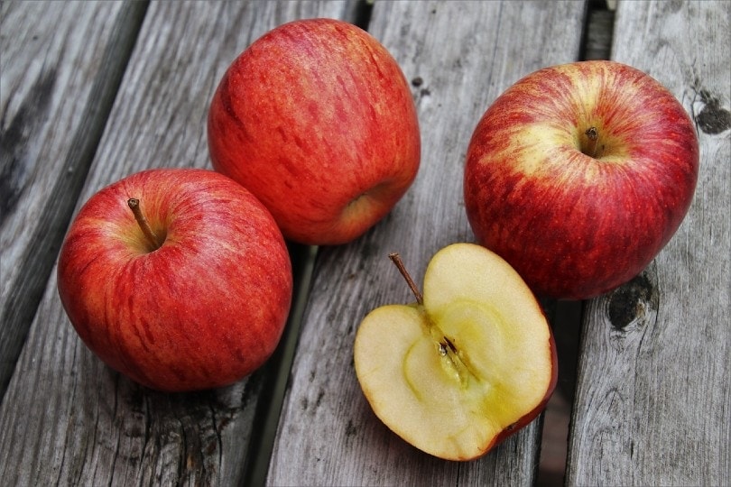 Can Ferrets Eat Apples? Vet-Verified Risks & Safety Tips