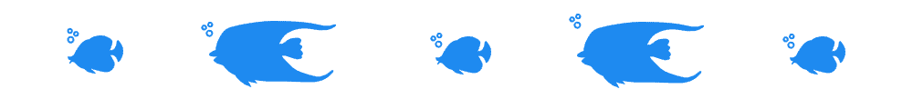 tropical fish 2 divider