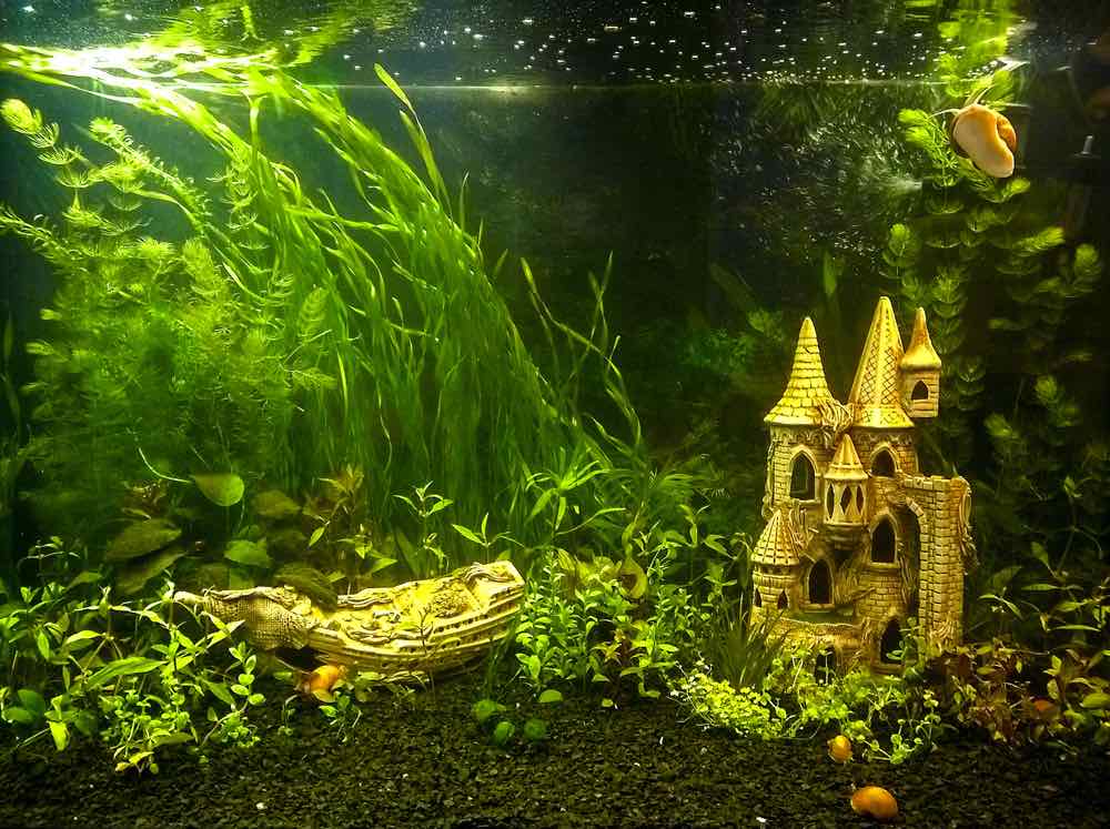 7 Best Fish Tank Castle Decorations in 2026 - Reviews & Top Picks