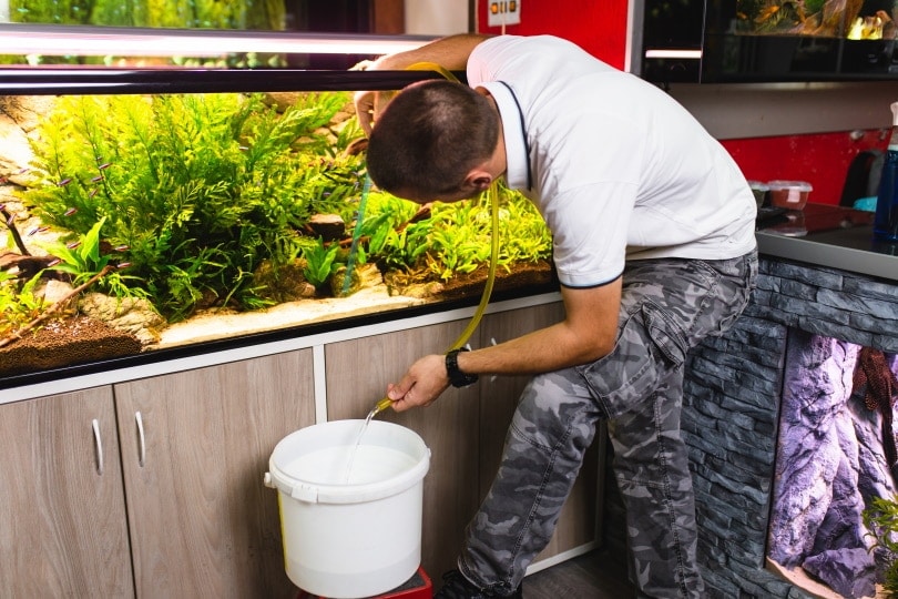How to Cycle a Fish Tank: Easy Step-by-Step Guide