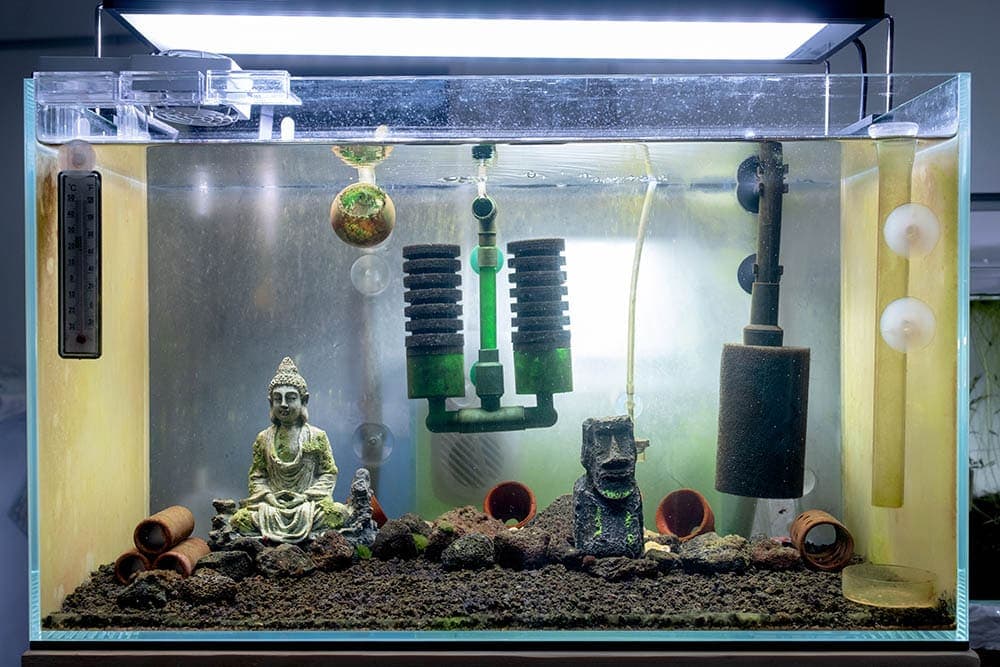 10 DIY Aquarium Filter Ideas to Try Today (With Pictures)