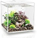 biOrb Cube 30 Aquarium