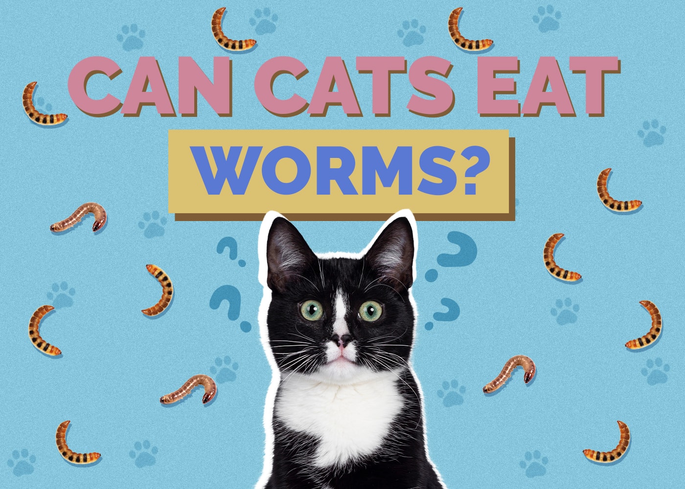 Can Cats Eat Worms? Vet Approved Risks, Concerns, & FAQ