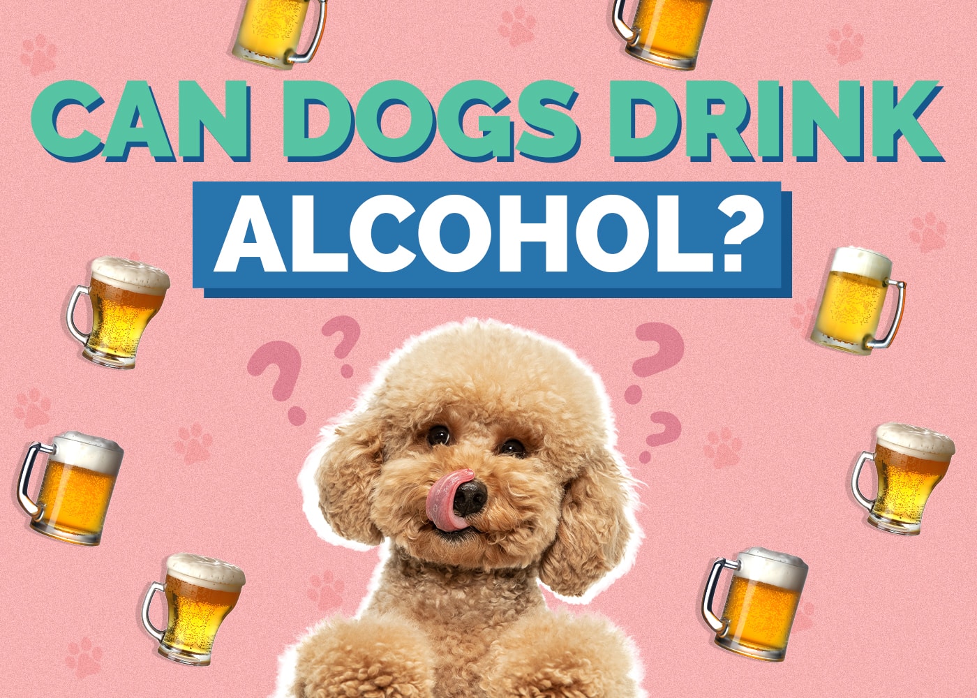 Can Dogs Drink Alcohol? Vet-Reviewed Toxicity Facts & Safety Guide
