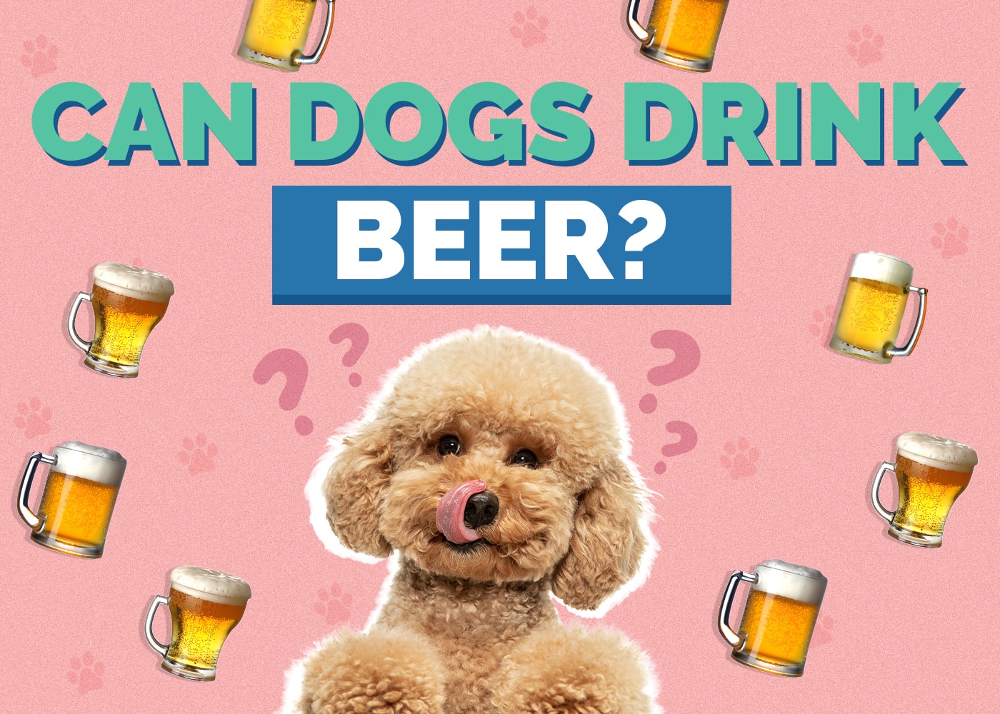 Can Dogs Drink Beer? Vet Approved Risks, Facts & Safety Guide