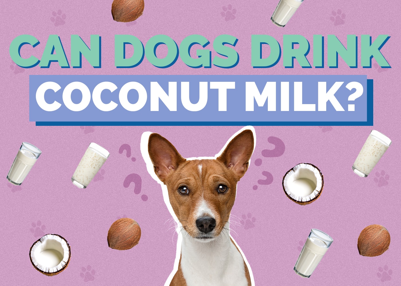 Can Dogs Drink Coconut Milk? Vet-Approved Benefits, Drawbacks, & FAQ