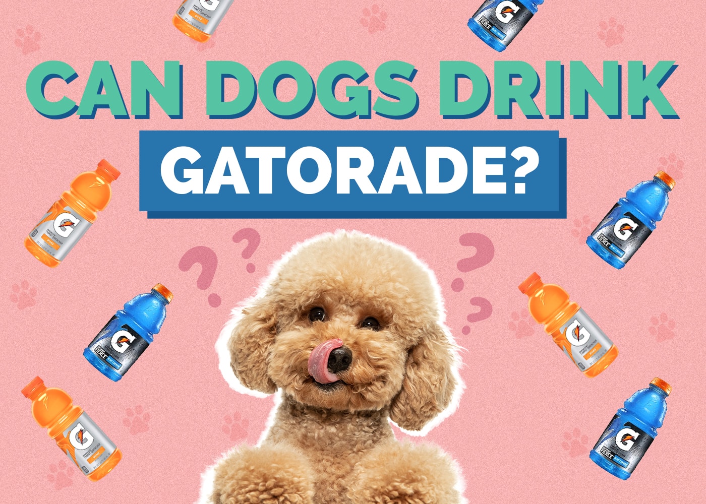Can Dogs Drink Gatorade? Vet-Approved Facts & Safety Guide