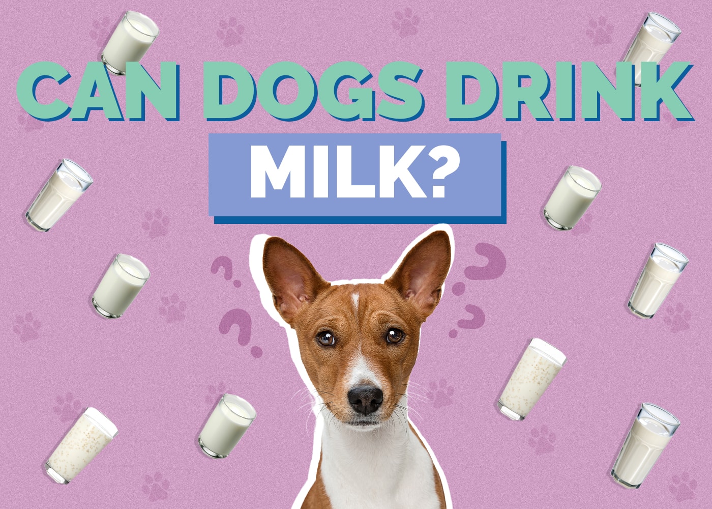 Can Dogs Drink Milk? Vet-Approved Risks, Facts, & Safety Guide