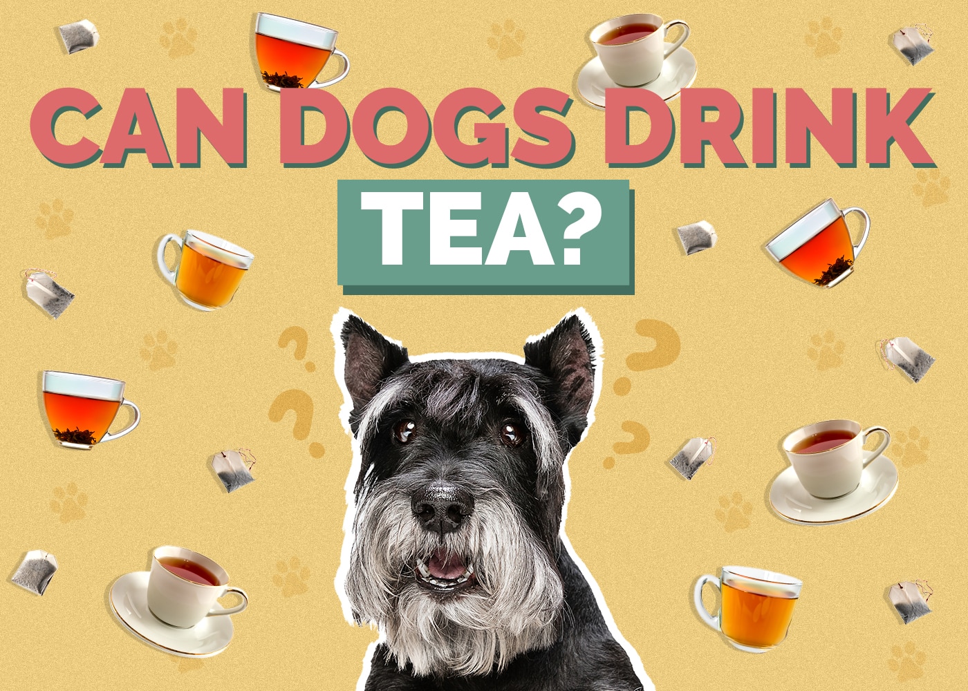 Can Dogs Drink Tea? Vet-Reviewed Risks, Facts, & Safety Guide