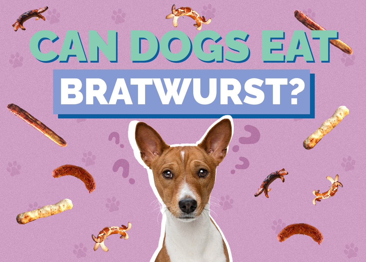 Can Dogs Eat Bratwurst? Vet Reviewed Explanation & FAQs