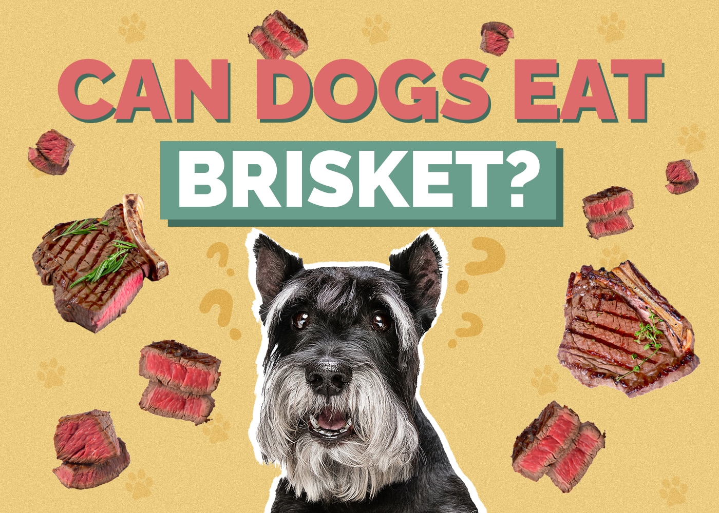 Can Dogs Eat Brisket? Read Before You Feed it to Them!
