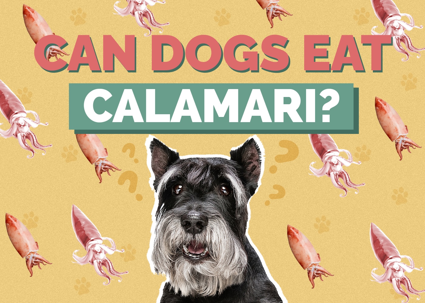 Can Dogs Eat Calamari? Vet Approved Reasons & Facts