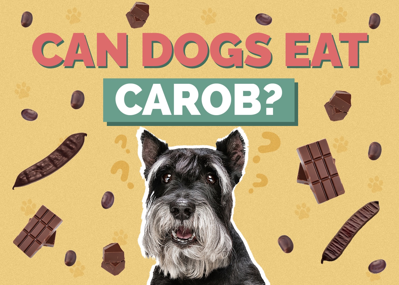 Can Dogs Eat Carob? How Healthy Is It?