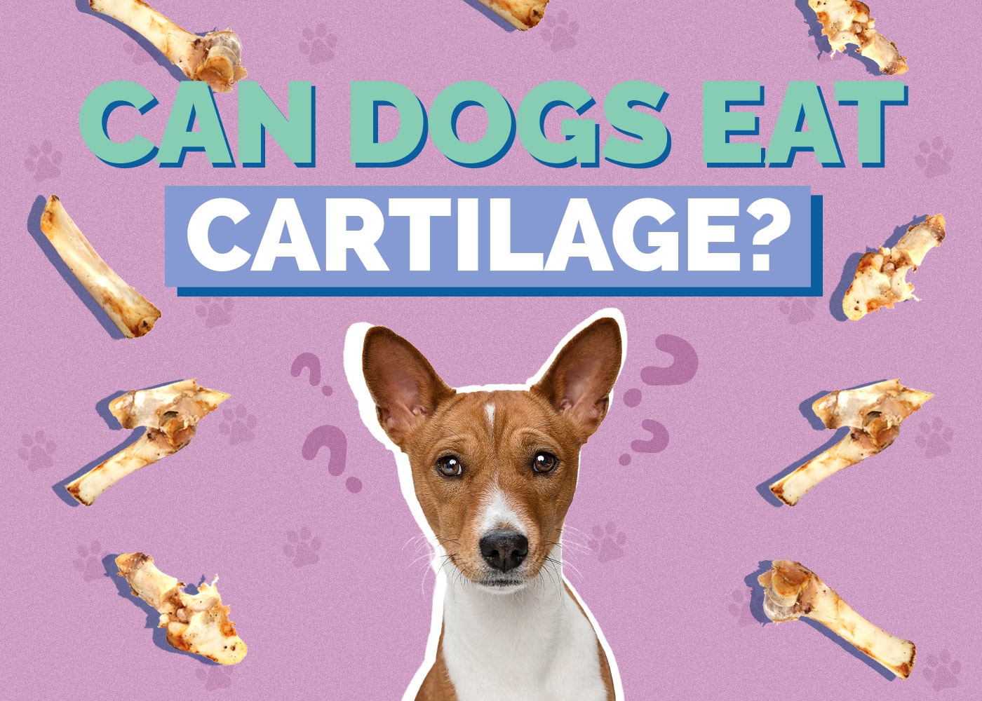 Can Dogs Eat Cartilage? Vet-Approved Facts & FAQ