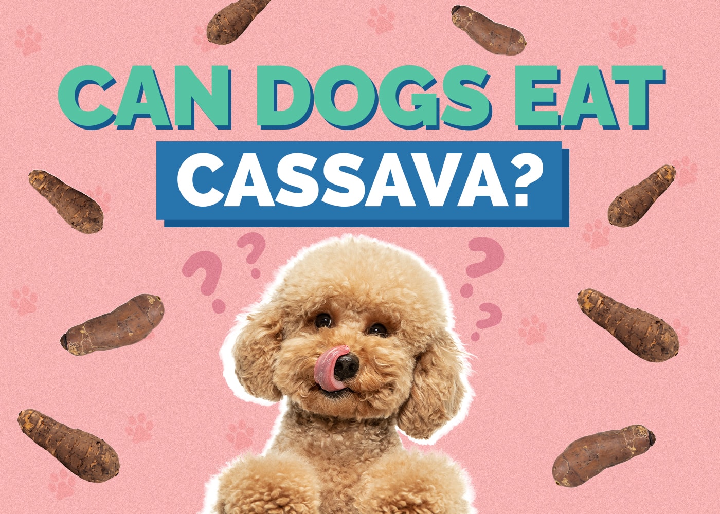 Can Dogs Eat Cassava? Vet Approved Facts & Nutrition Guide