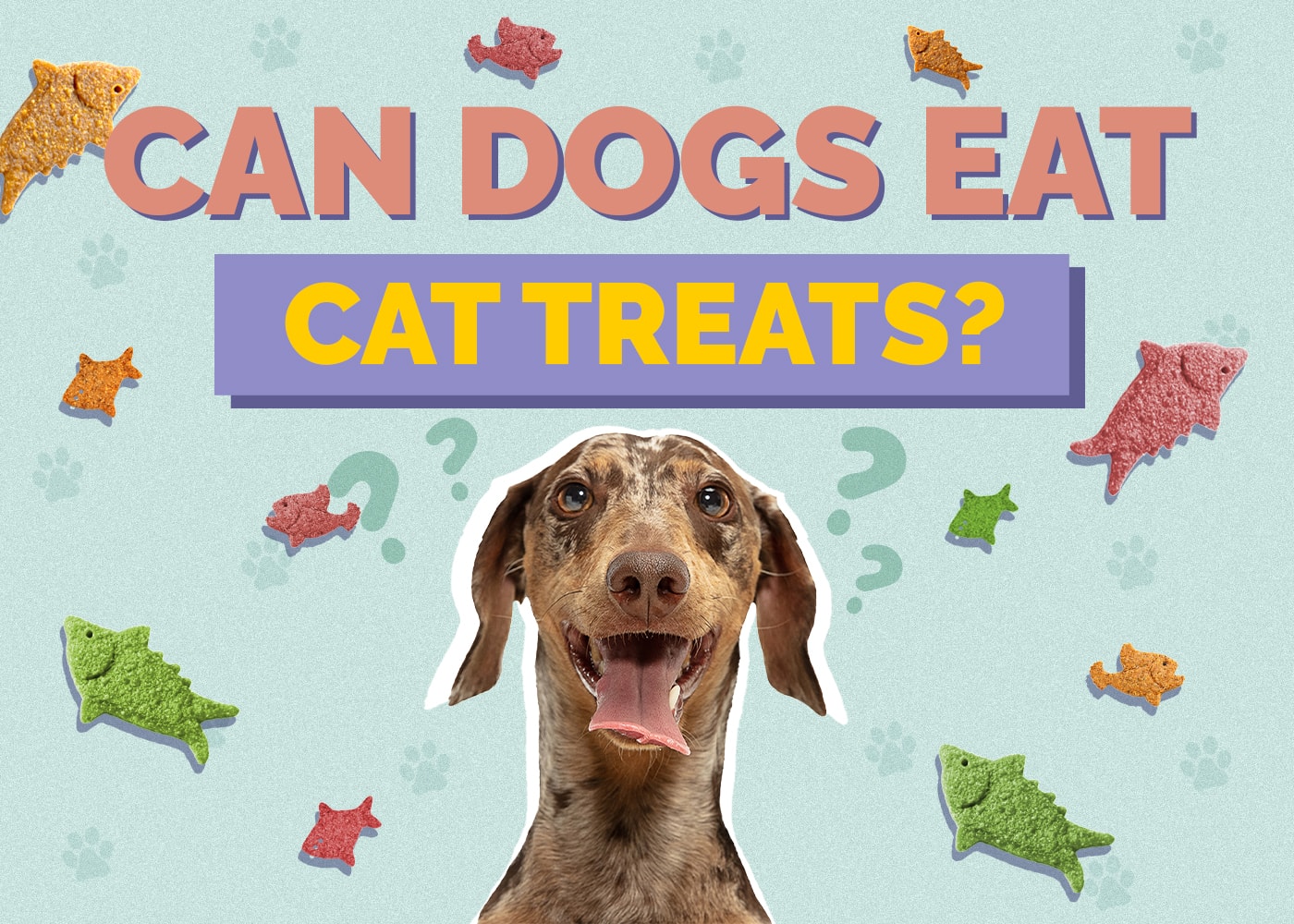 Can Dogs Eat Cat Treats