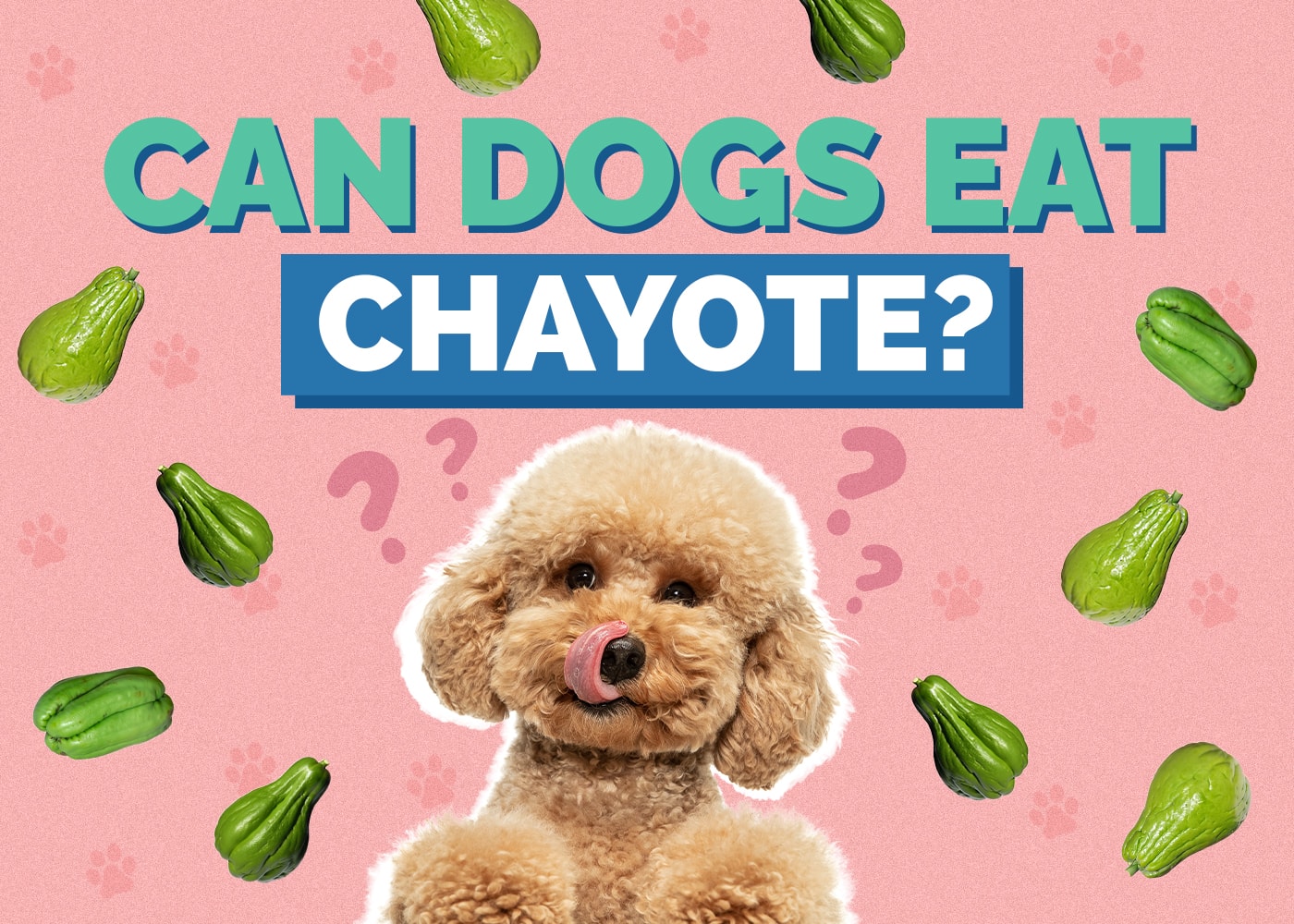 Can Dogs Eat Chayote